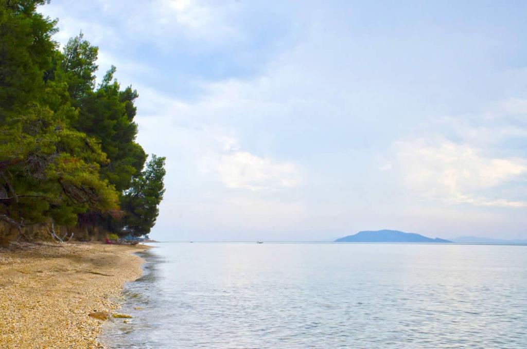Elia Apartments Sithonia 外观 照片